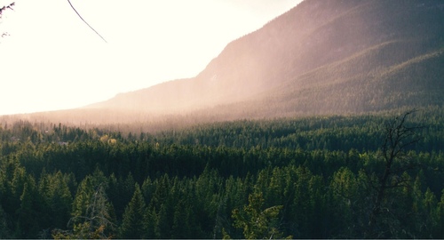 Jessica Krishnakumar