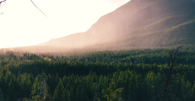 Naturopathic Medicine